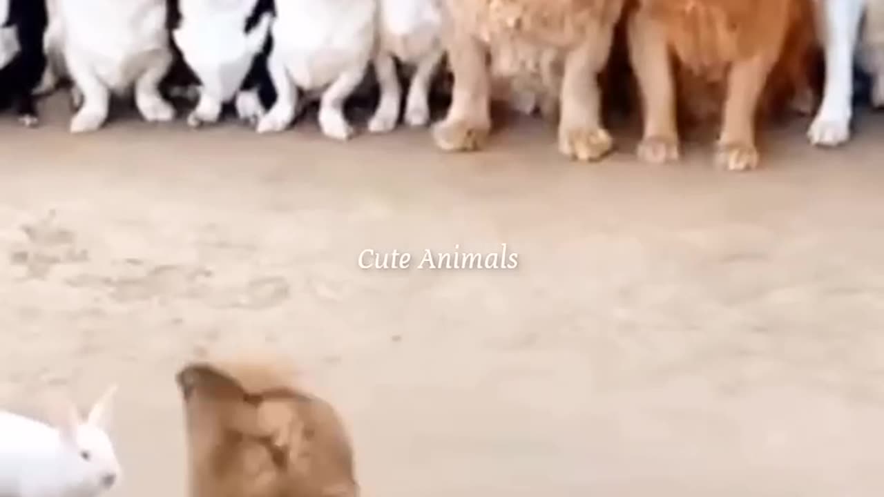😆🤣😆🤣😆🤣