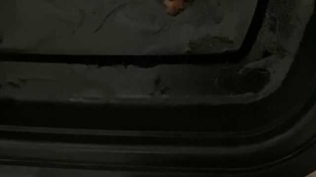 This is my first live stream on rumble,🎶🎶🎶