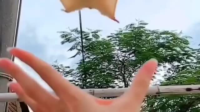 Flying bat