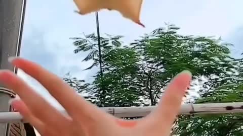 Flying bat