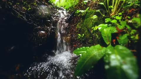 Relaxing water sound