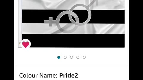 pride flag