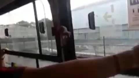 rat in the bus (screams) LOL