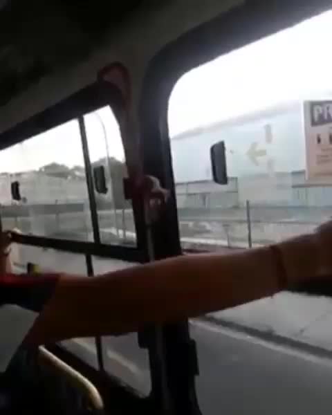 rat in the bus (screams) LOL