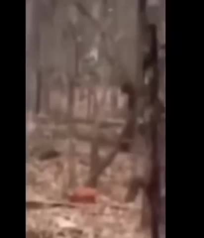 BIG FOOT CAPTURED ON CAMERA