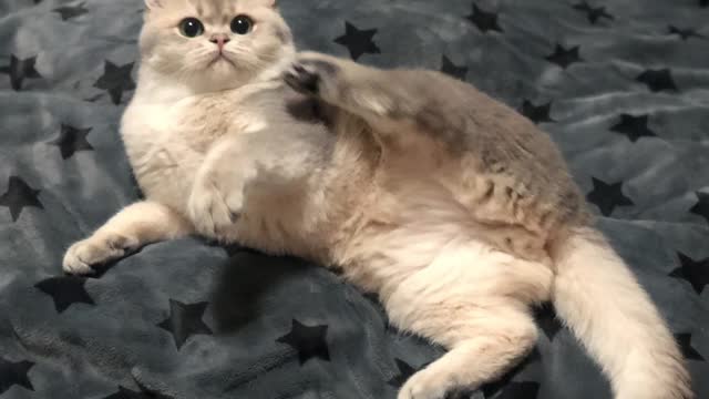 It's getting fatter!