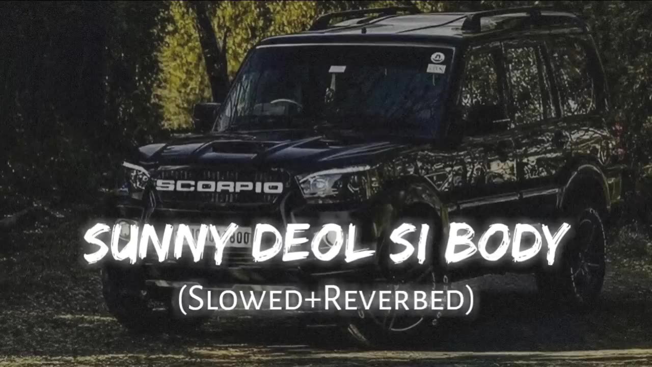 Sunny Deol si body || (Slow + Reverbed