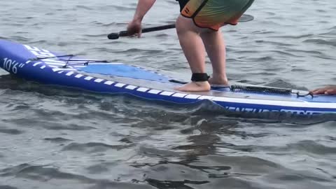 Paddleboarding Gone Wrong