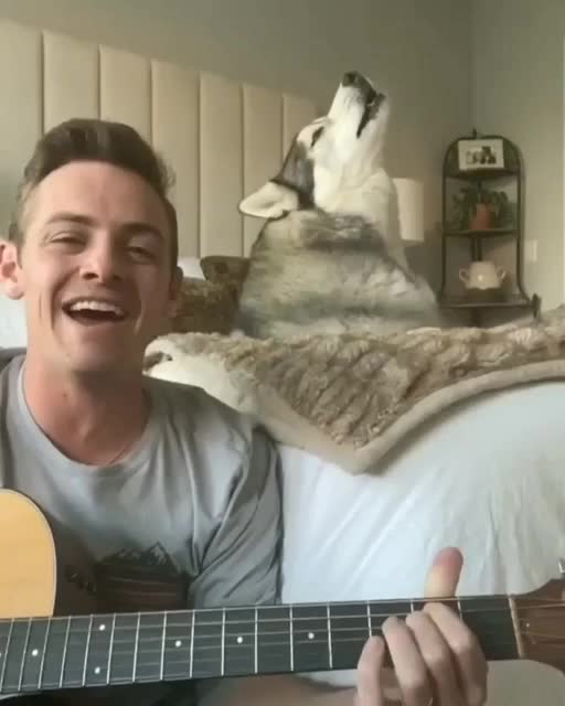 What a great duo 😁😁❤️❤️❤️