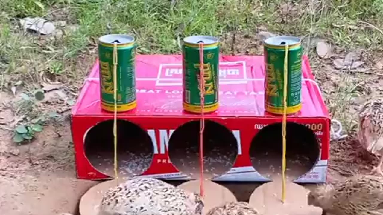 A clever fowl trap