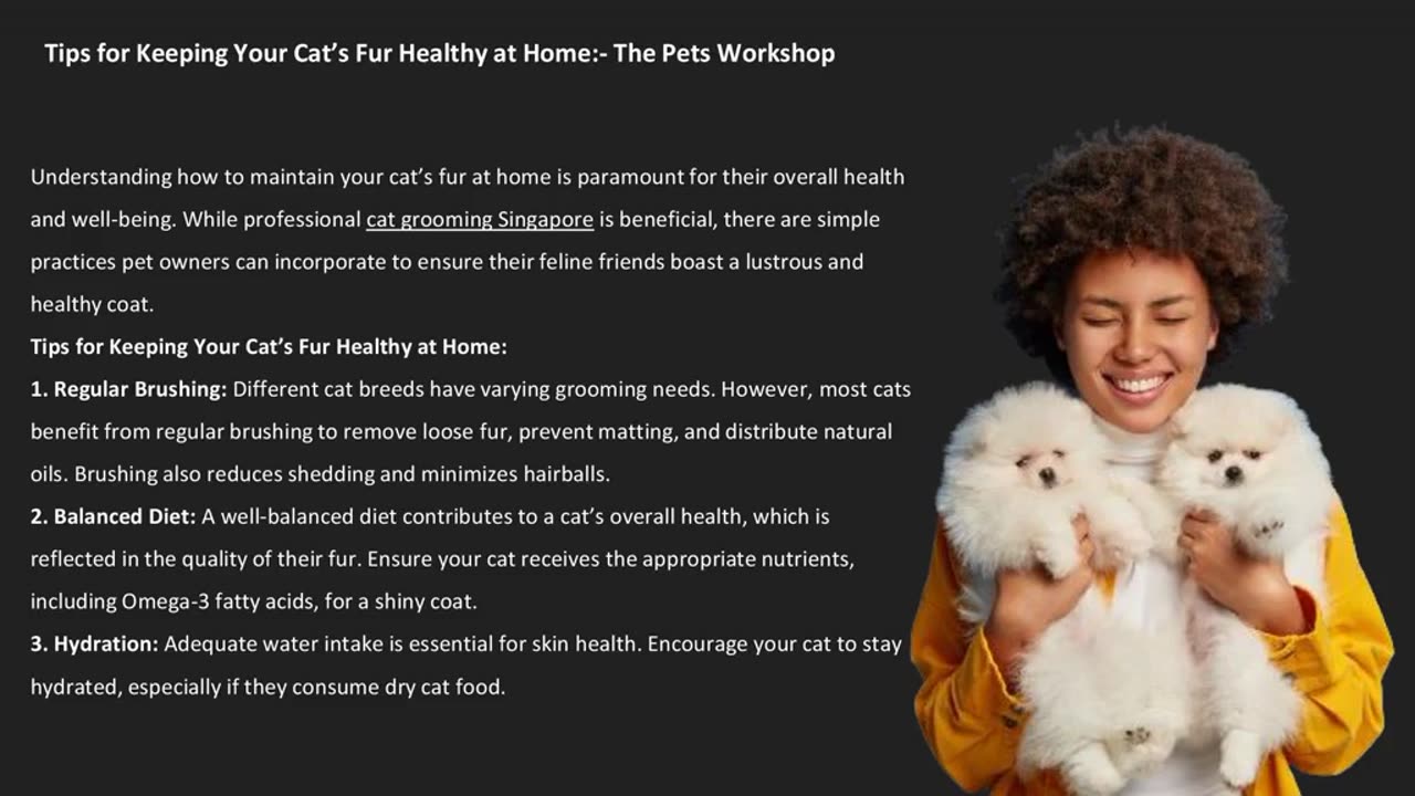 Tips for Keeping Your Cat’s Fur Healthy at Home:- The Pets Workshop