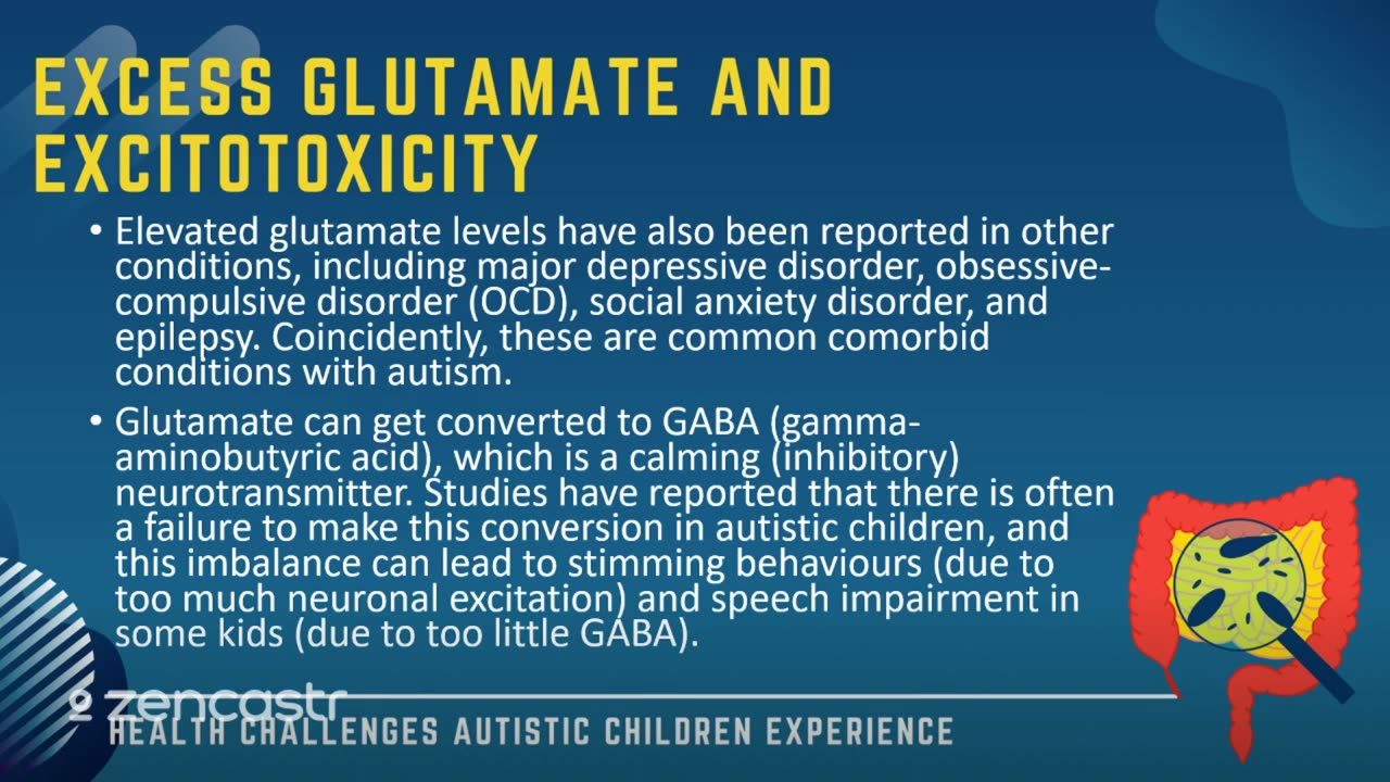 43 of 63 - Excess Glutamate and Excitoxicity - Health Challenges Autistic Children Experience