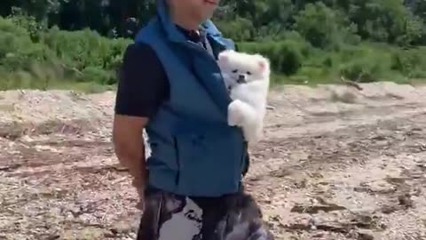 20190824文贵先生视频²：文贵怀孕了