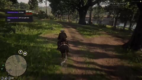 Red Dead 2 RP I say no to marriage, and this is what I get.