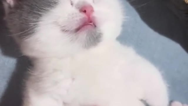 Please daddy i just wanna sleep