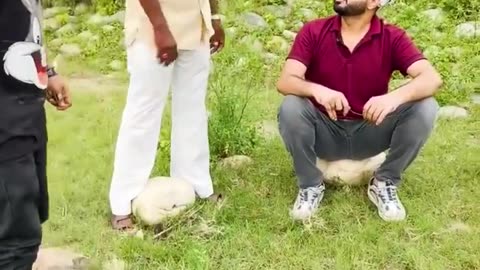 Full Masti#comedy video more#videos#follow me