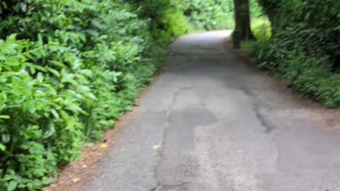 Castle Horneck, May 2024