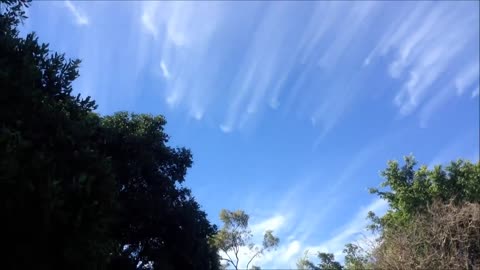 CHEM-BOMB - Weather Warfare