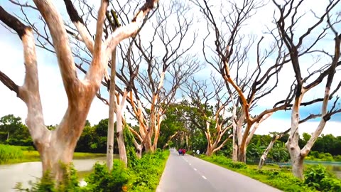 Beauty of nature