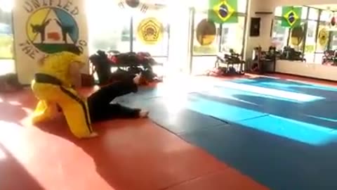Hapkido
