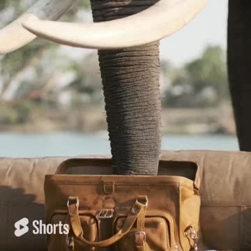 The Deep Pocket Duffle is the perfect travel bag for wherever life takes you next