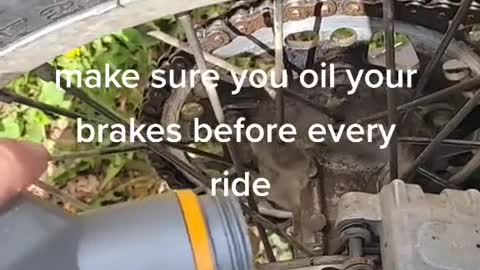 Ensure that the brakes are oiled before each ride