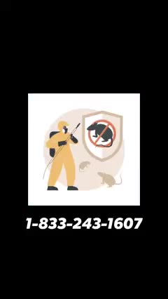 Pest B Gone In Bourbonnais