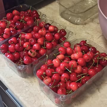 Yummy Fresh Cherries