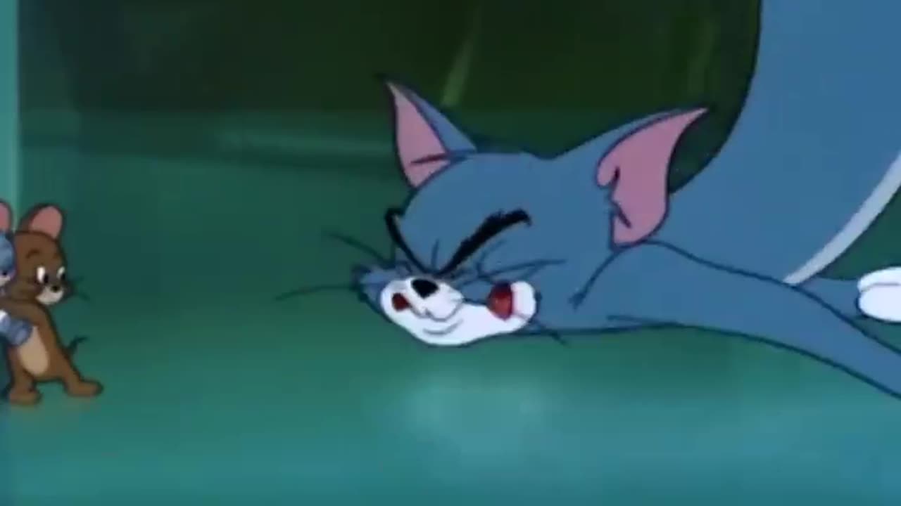 Tom and Jerry Fun Cartoon