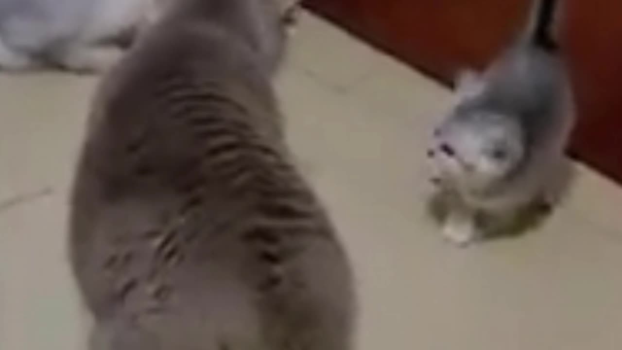 Some parents be like