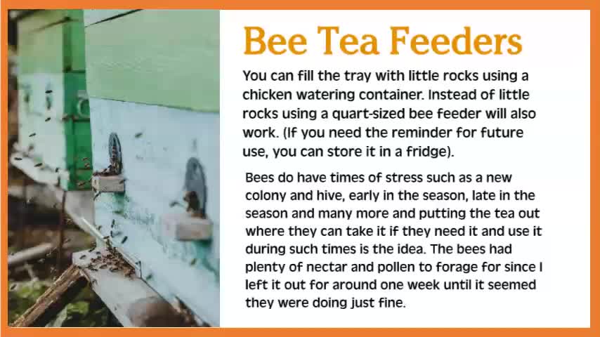What is Bee Tea?