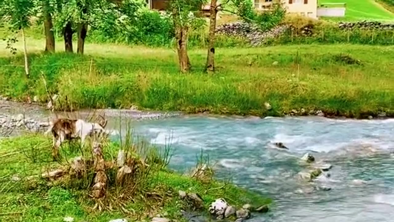 Beautiful view 😍 ❤️