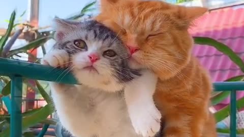 This couple is cute