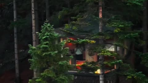 Forest tree house in top view