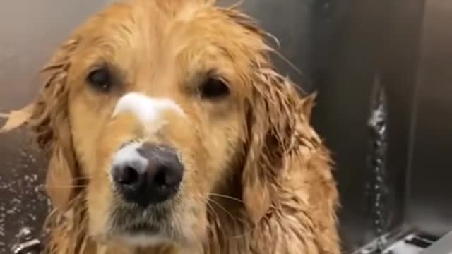 Bath time 🛀