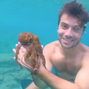 Beyond Dreams: Embrace the Magic of Exotic Travel