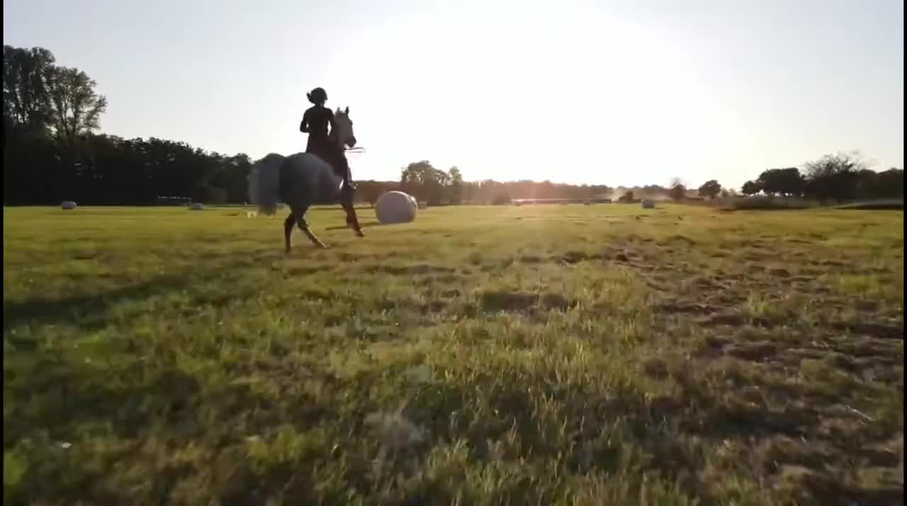 most beautiful horse riding #Status#Latest Nature Video Full HD