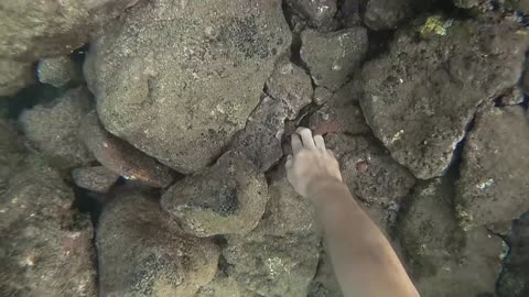 Cracking Eggs Underwater for Science