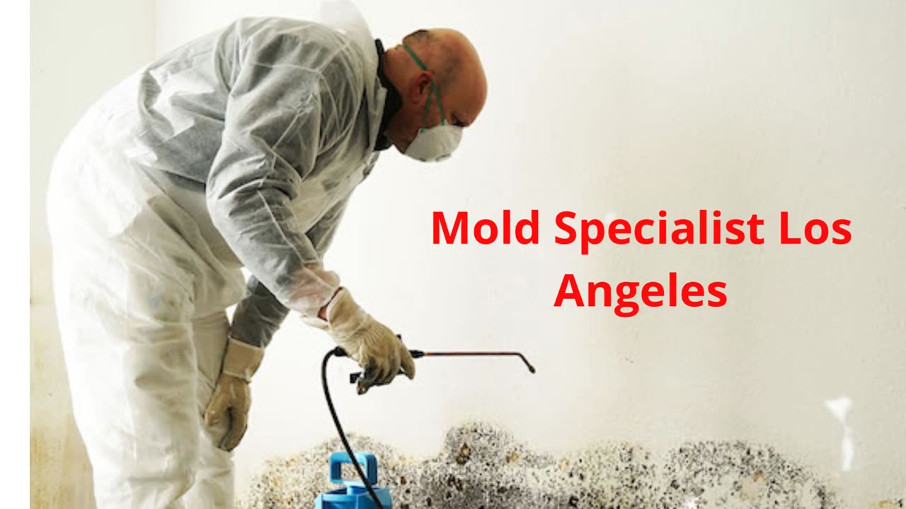 Air Clean Environmental Inc | Best Mold Specialist in Los Angeles, CA