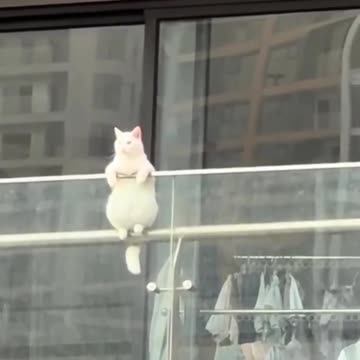 Yes, he can see everything from above!