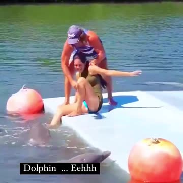 Dolphin fish Romance with Girl | Romantic Fish | Funniest Dolphin Fish 🐬🐟😂