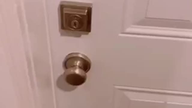 funny video-scare cam