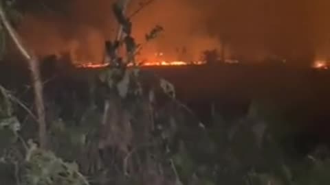 Incêndio em Cotijuba