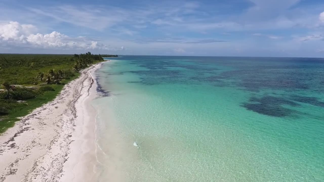 Stunning Coastline on Caribbean beach