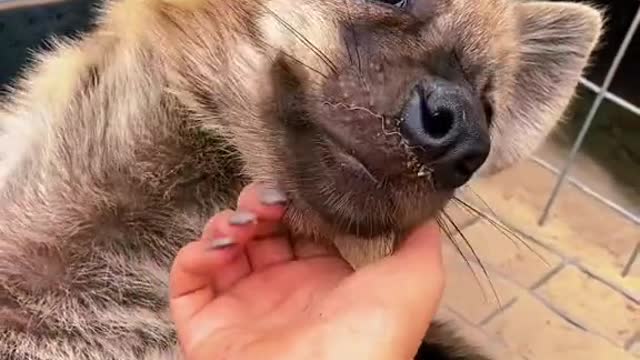 Happy chin scratches 🥰