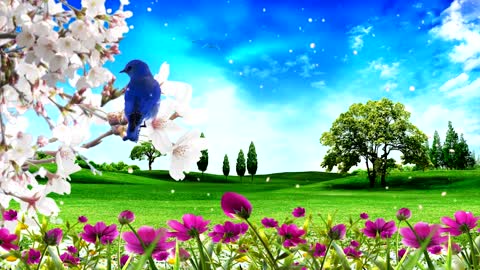 fresh blue sky and grass birds flowers led video background