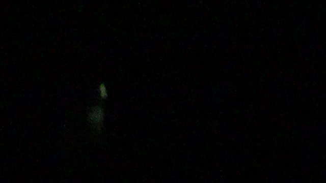UFO i'm pete this is puff