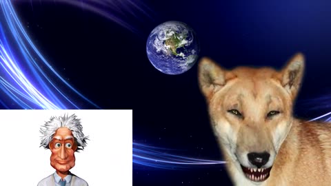 Darryl the Talking Dingo tells a joke about space and time travel