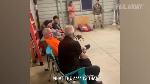 Is This Spider Poisonous! | Fails Of The Week