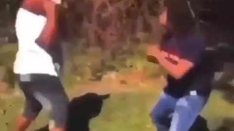 Amazing fight Elbow knockout Dead shot 👊